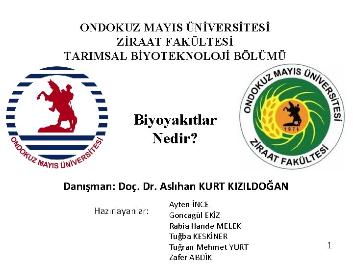 ONDOKUZ MAYIS ÜNİVERSİTESİ ZİRAAT FAKÜLTESİ TARIMSAL BİYOTEKNOLOJİ BÖLÜMÜ Biyoyakıtlar Nedir? Danışman: Doç. Dr. Aslıhan