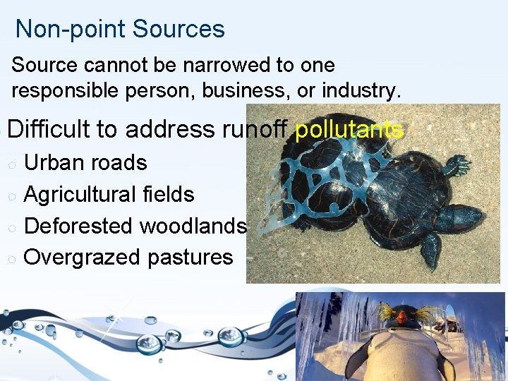 Non-point Sources Source cannot be narrowed to one responsible person, business, or industry. ○