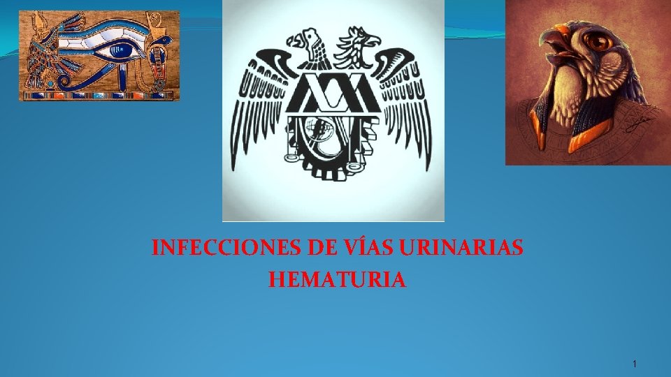 INFECCIONES DE VÍAS URINARIAS HEMATURIA 1 