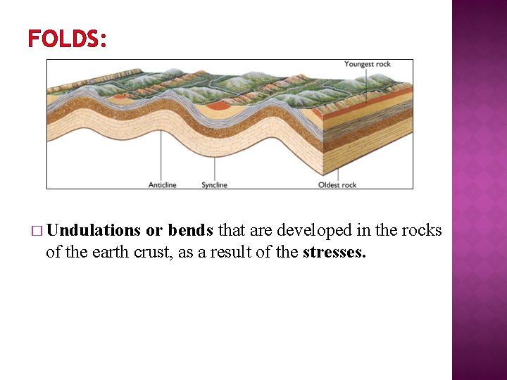 FOLDS: � Undulations or bends that are developed in the rocks of the earth