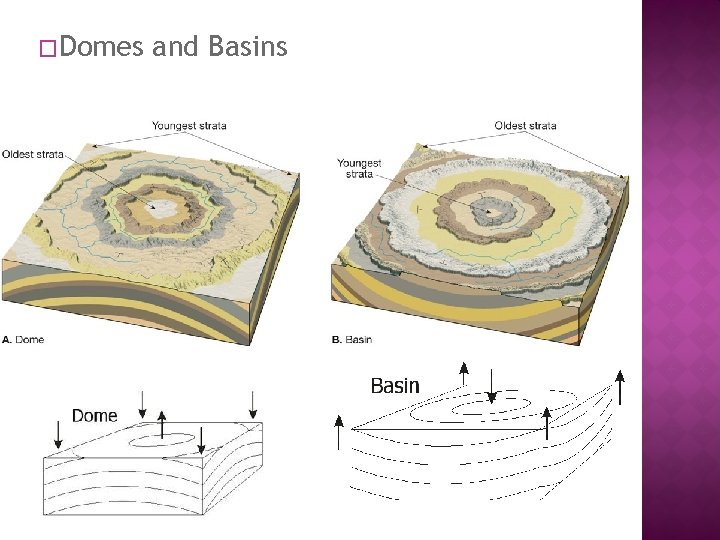 �Domes and Basins 