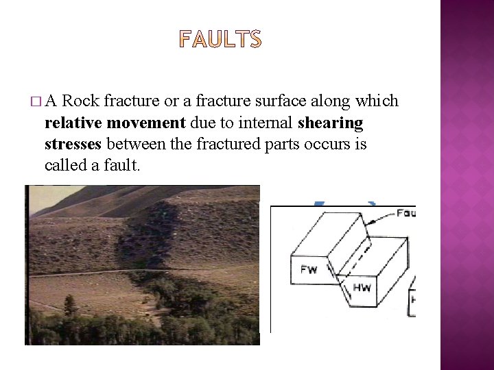 �A Rock fracture or a fracture surface along which relative movement due to internal