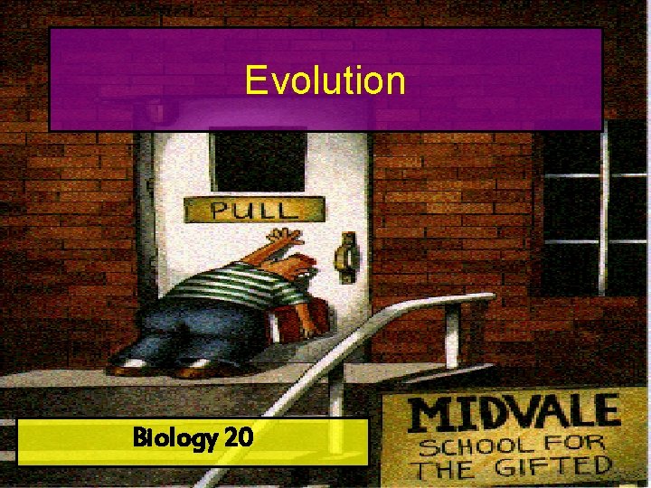 Evolution Biology 20 