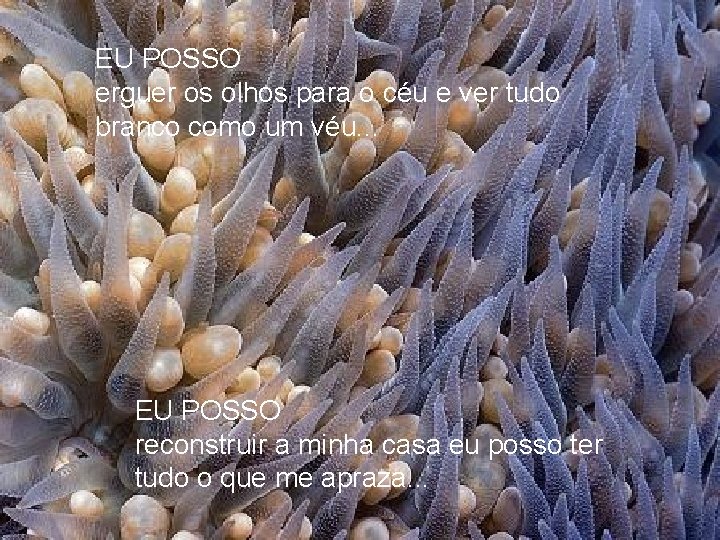 EU POSSO erguer os olhos para o céu e ver tudo branco como um