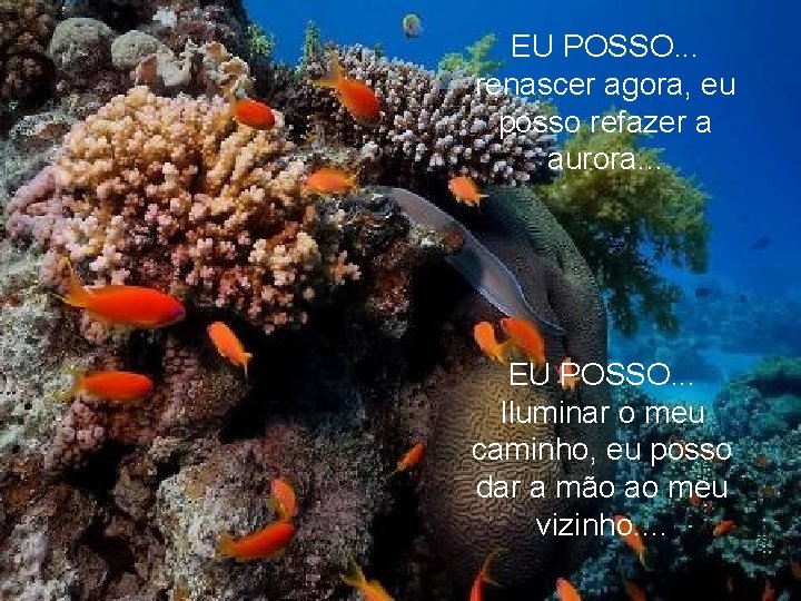 EU POSSO. . . renascer agora, eu posso refazer a aurora. . . EU