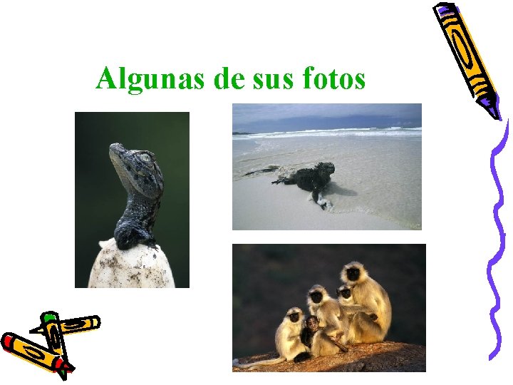 Algunas de sus fotos Algunas de sus fotos