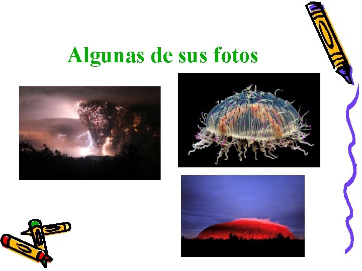 Algunas de sus fotos 