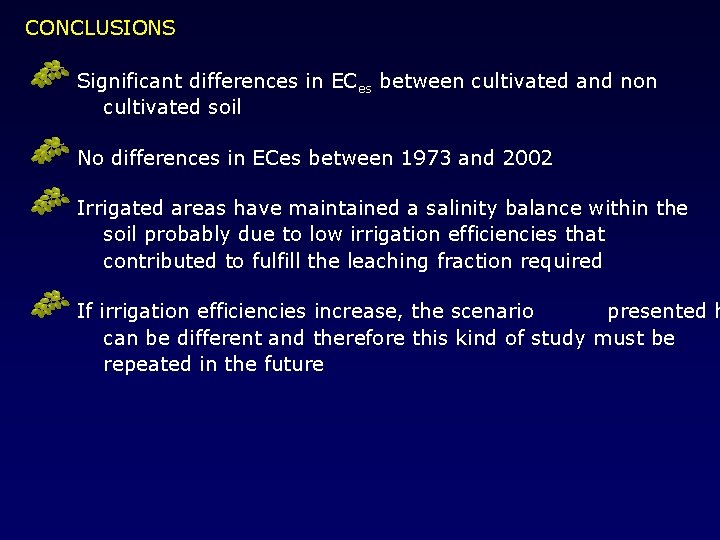 CONCLUSIONS Significant differences in ECes between cultivated and non cultivated soil No differences in