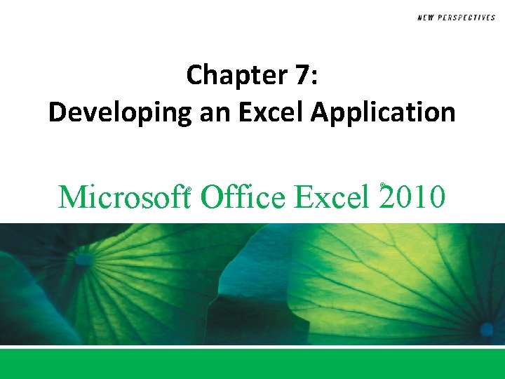 Chapter 7 Developing an Excel Application Microsoft Office