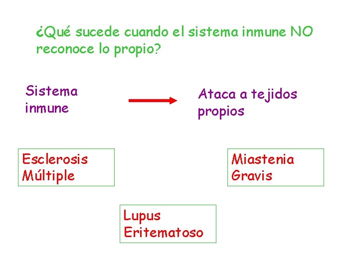 ¿Qué sucede cuando el sistema inmune NO reconoce lo propio? Sistema inmune Ataca a