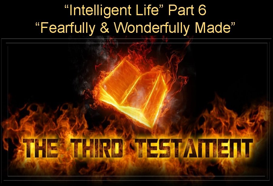 “Intelligent Life” Part 6 “Fearfully & Wonderfully Made” 