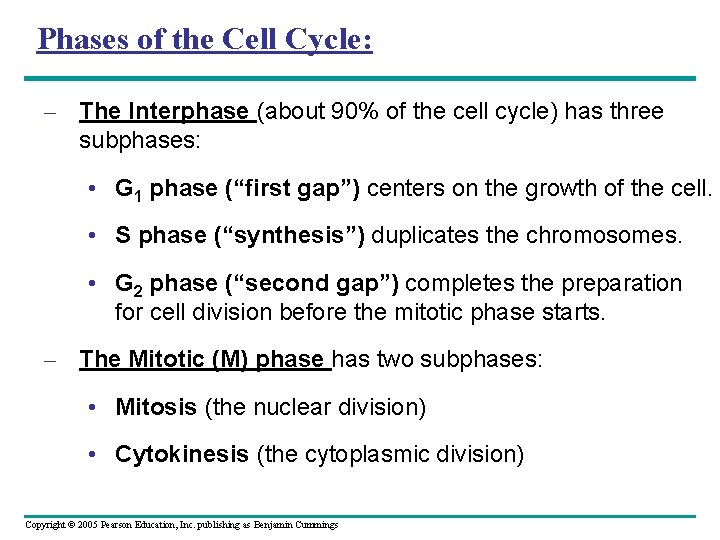 Phases of the Cell Cycle: – The Interphase (about 90% of the cell cycle) Phases of the Cell Cycle: – The Interphase (about 90% of the cell cycle)