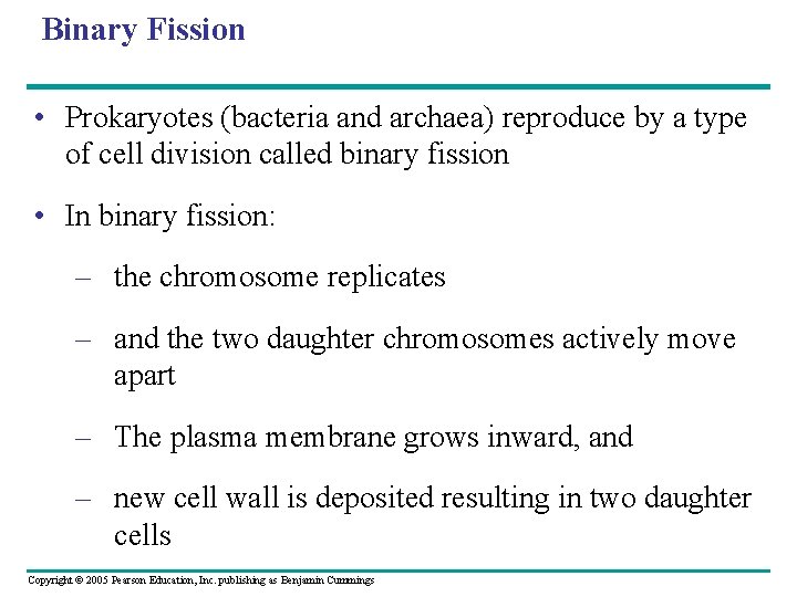 Binary Fission • Prokaryotes (bacteria and archaea) reproduce by a type of cell division Binary Fission • Prokaryotes (bacteria and archaea) reproduce by a type of cell division