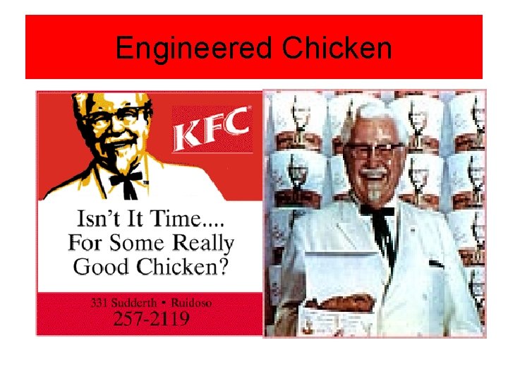 Engineered Chicken 