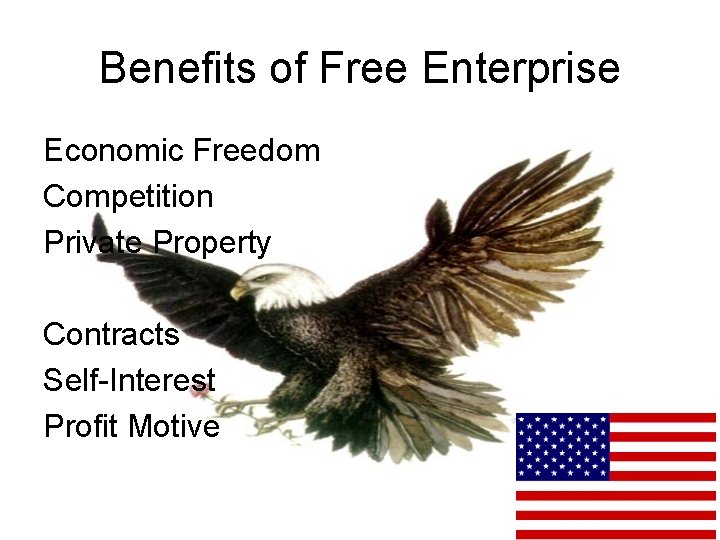 Benefits of Free Enterprise Economic Freedom Competition Private Property Contracts Self-Interest Profit Motive 