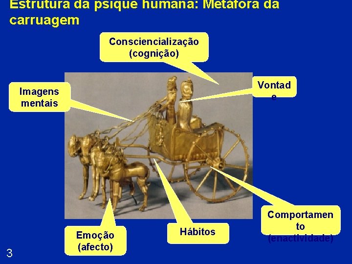 Estrutura da psique humana: Metáfora da carruagem Consciencialização (cognição) Vontad e Imagens mentais 3