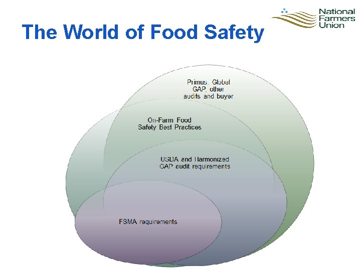 The World of Food Safety 