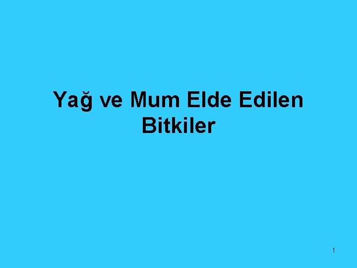 Yağ ve Mum Elde Edilen Bitkiler 1 