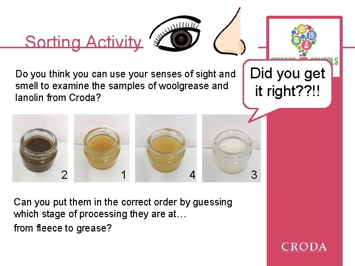Sorting Activity Do you think you can use your senses of sight and smell