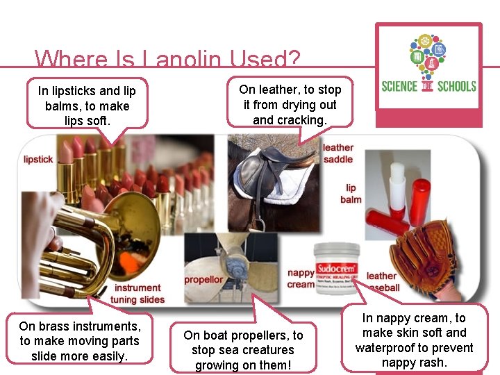 Where Is Lanolin Used? In lipsticks and lip balms, to make lips soft. On