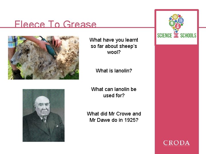 Fleece To Grease What have you learnt so far about sheep’s wool? What is