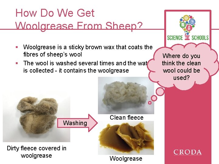 How Do We Get Woolgrease From Sheep? § Woolgrease is a sticky brown wax