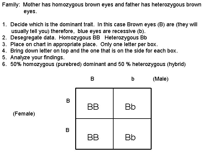 Family: Mother has homozygous brown eyes and father has heterozygous brown eyes. 1. Decide