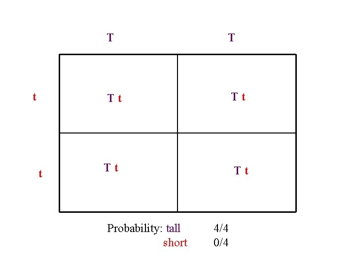 t t T T Tt Tt Tt Probability: tall short Tt 4/4 0/4 