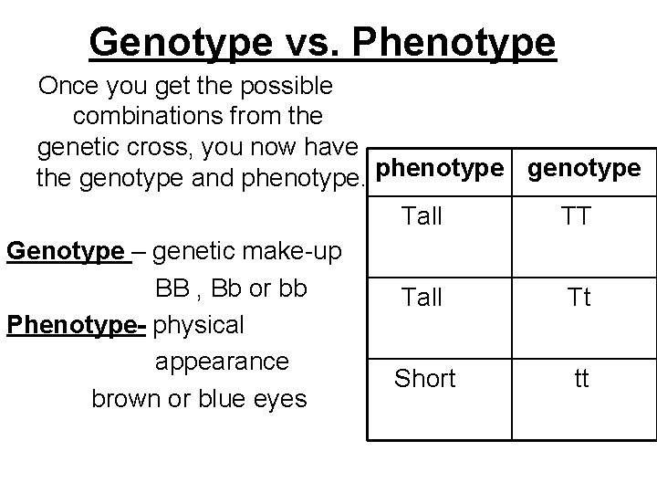 Genotype vs. Phenotype Once you get the possible combinations from the genetic cross, you