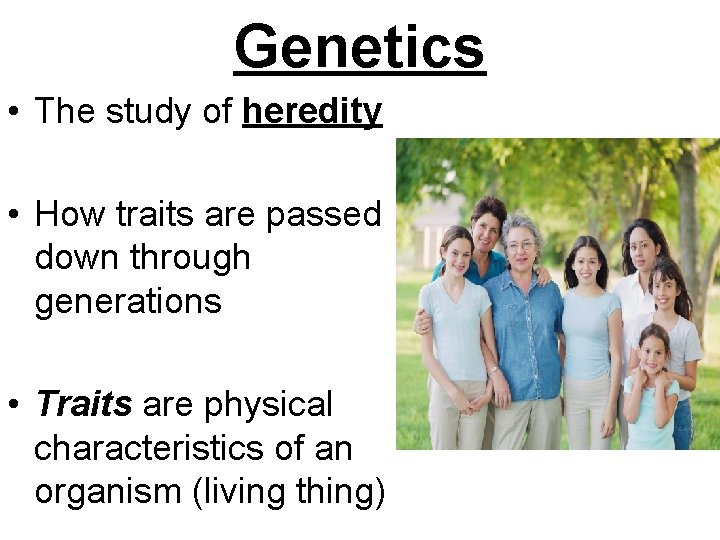 Genetics • The study of heredity • How traits are passed down through generations