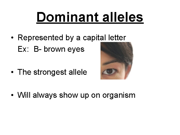 Dominant alleles • Represented by a capital letter Ex: B- brown eyes • The