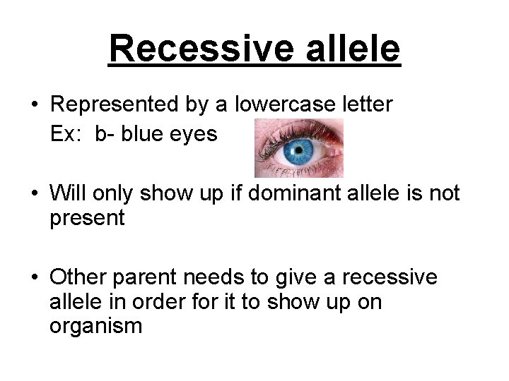 Recessive allele • Represented by a lowercase letter Ex: b- blue eyes • Will