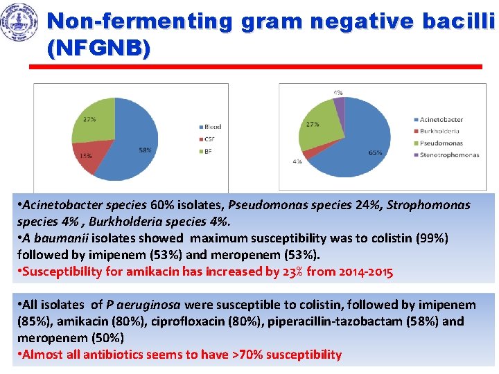 Non-fermenting gram negative bacilli (NFGNB) • Acinetobacter species 60% isolates, Pseudomonas species 24%, Strophomonas