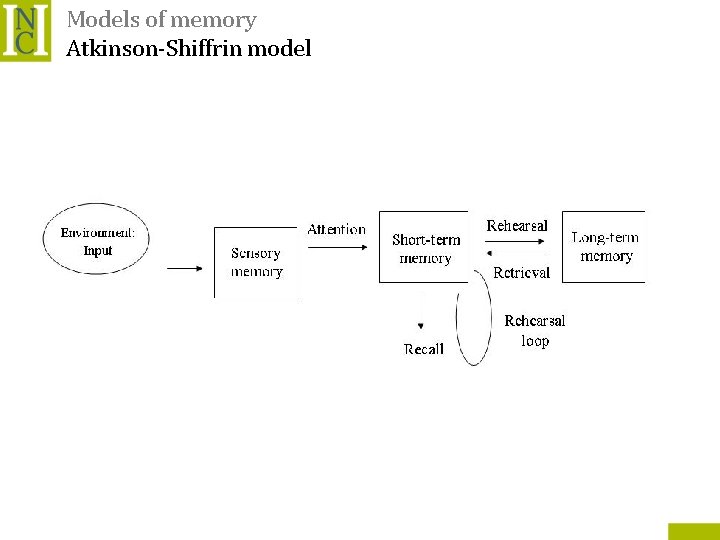 Models of memory Atkinson-Shiffrin model 