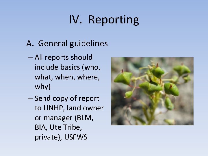 IV. Reporting A. General guidelines – All reports should include basics (who, what, when,