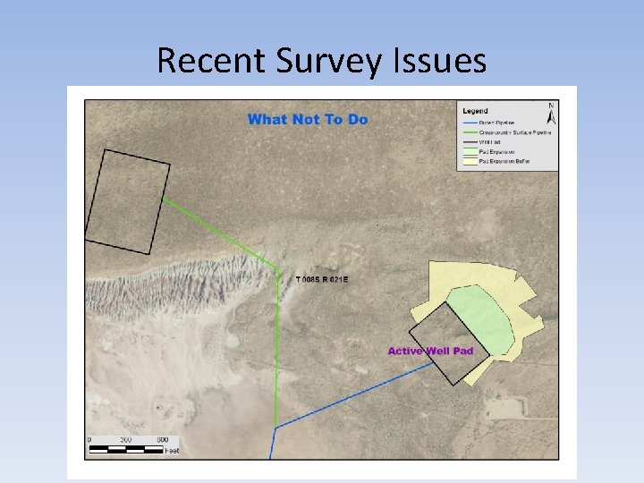 Recent Survey Issues 