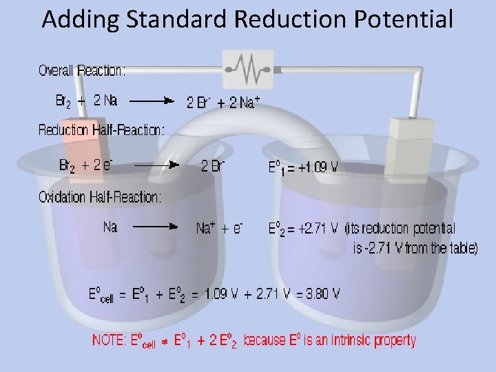 Adding Standard Reduction Potential 