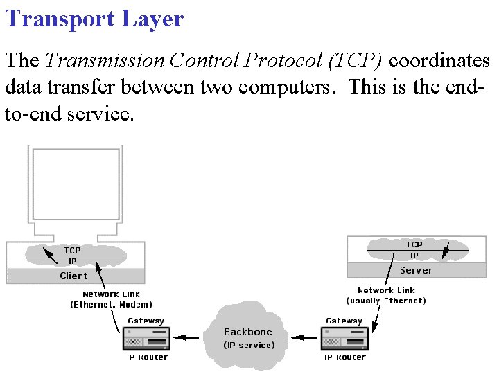 Transport Layer The Transmission Control Protocol (TCP) coordinates data transfer between two computers. This