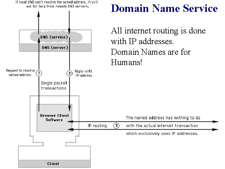 Domain Name Service All internet routing is done with IP addresses. Domain Names are