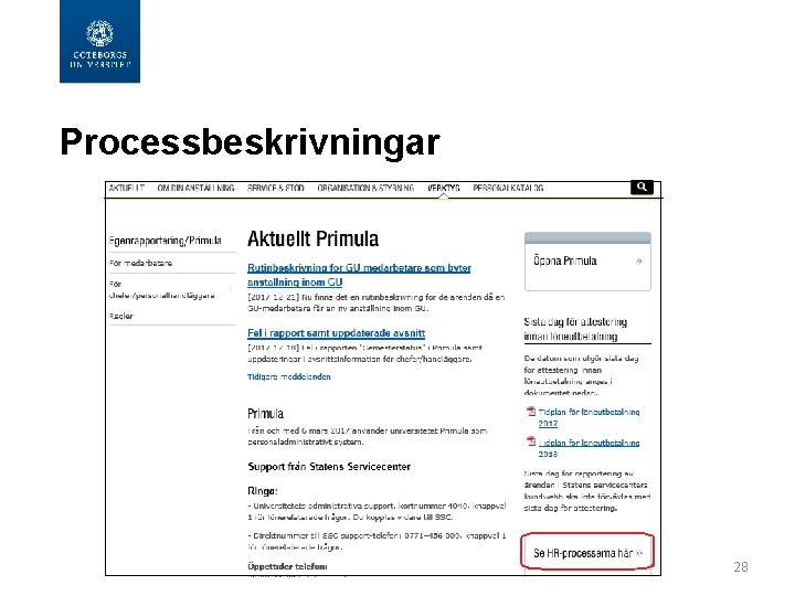 Processbeskrivningar 28 