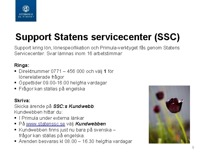 Support Statens servicecenter (SSC) Support kring lön, lönespecifikation och Primula-verktyget fås genom Statens Servicecenter.