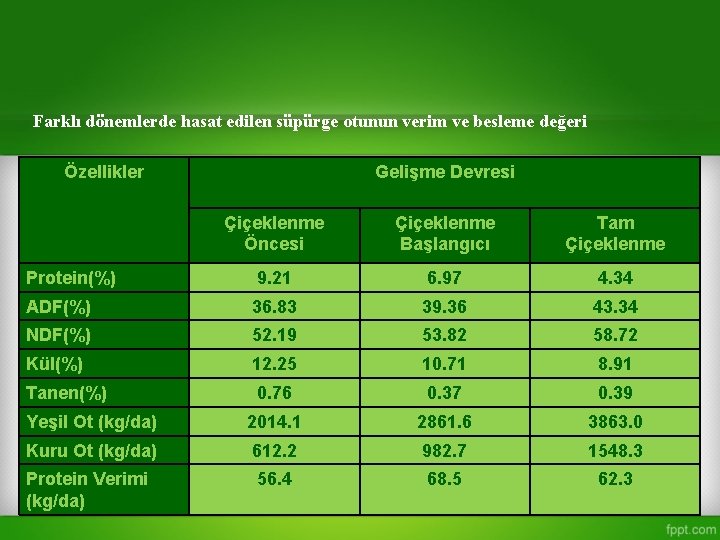 Farklı dönemlerde hasat edilen süpürge otunun verim ve besleme değeri Özellikler Gelişme Devresi Çiçeklenme