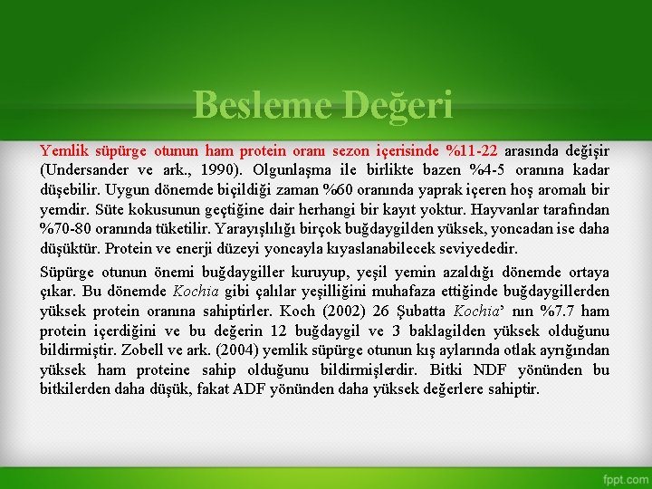 Besleme Değeri Yemlik süpürge otunun ham protein oranı sezon içerisinde %11 -22 arasında değişir