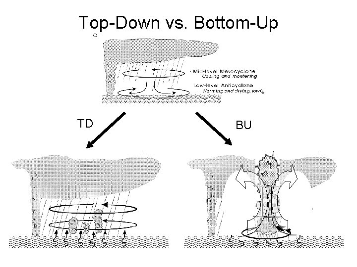 Top-Down vs. Bottom-Up TD BU 