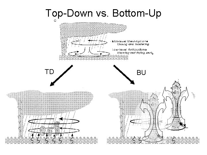 Top-Down vs. Bottom-Up TD BU 