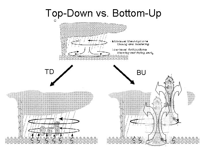 Top-Down vs. Bottom-Up TD BU 