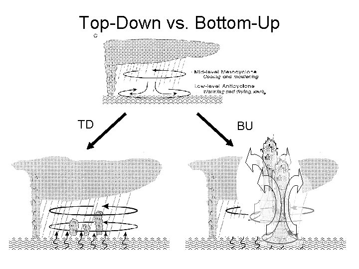 Top-Down vs. Bottom-Up TD BU 