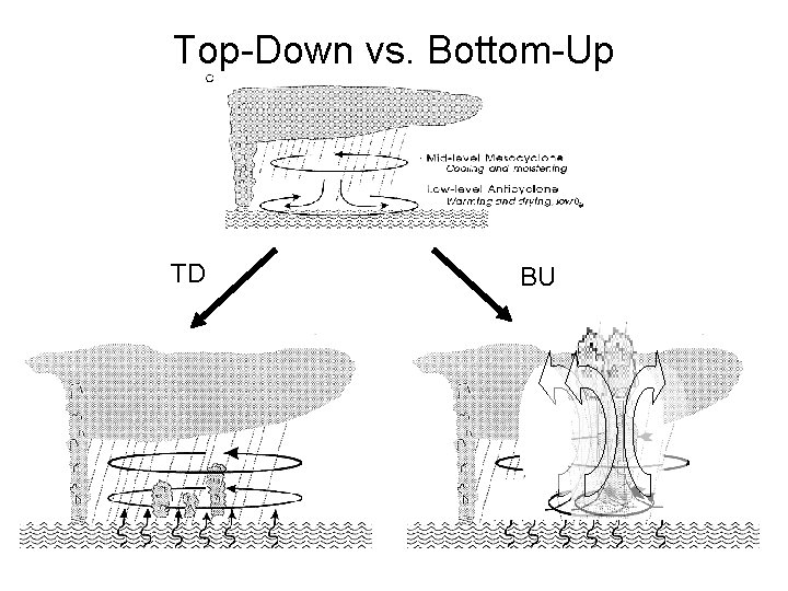Top-Down vs. Bottom-Up TD BU 