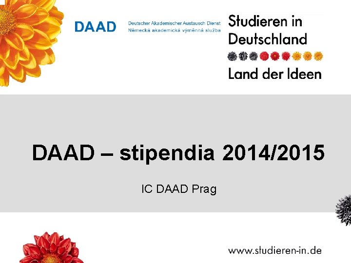 DAAD – stipendia 2014/2015 IC DAAD Prag 