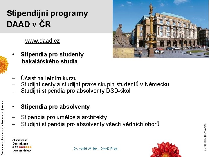 Stipendijní programy DAAD v ČR www. daad. cz • Stipendia pro studenty bakalářského studia